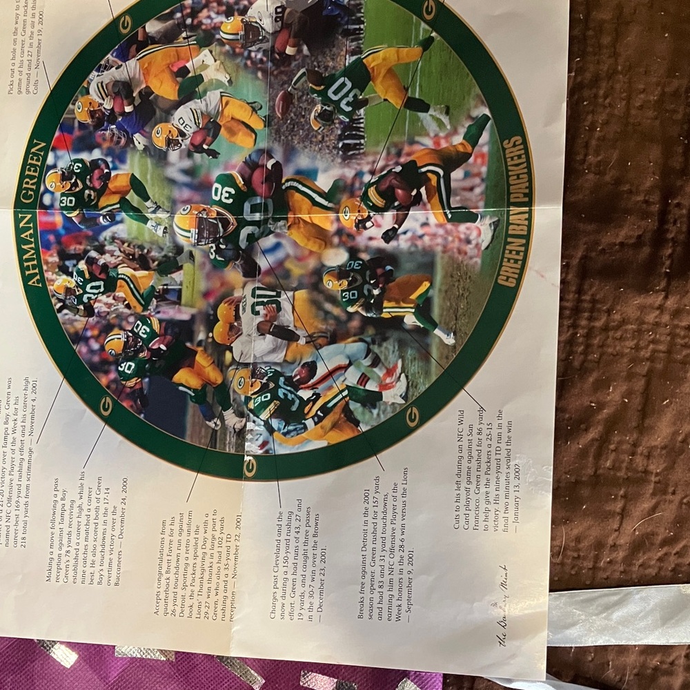 Danbury Mint Green Bay Packers Collector's Plate - Green and Yellow - Picture 4 of 5